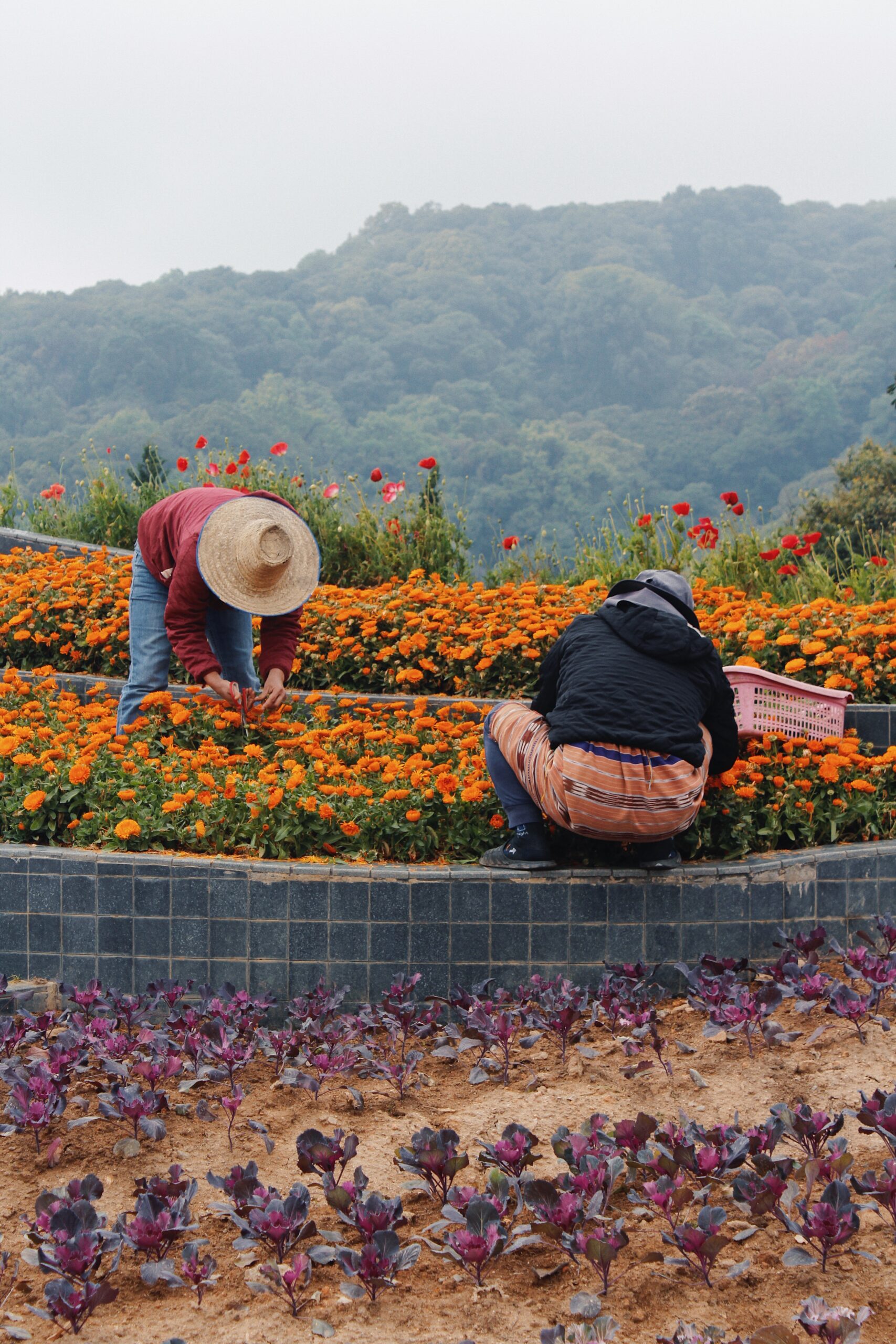 voyage en thailande